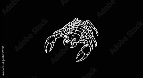 Scorpion white line art illustration.