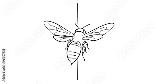 Elegant monochrome line art vector of a flying honeybee showcasing intricate wing details and a