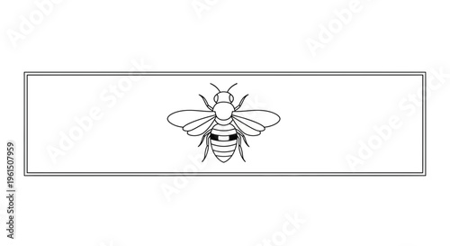 Minimalist outline drawing of a honey bee within a sleek rectangular border on a clean white