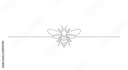 Elegant minimalist single line drawing of a bee centered on a continuous horizontal stroke