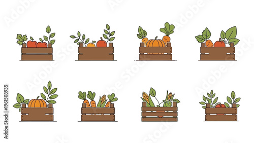 Vegetables Growing in Wooden Planters.