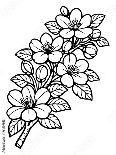 Sakura Branch: A delicate black-and-white illustration of a cherry blossom branch in full bloom, showcasing the intricate details of the flower.