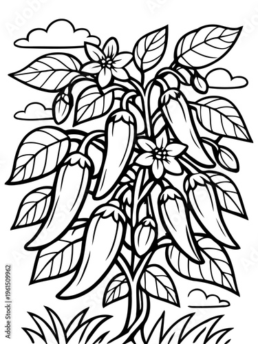Chili Plant in Bloom: A monochrome illustration showcases a chili pepper plant, boasting a bounty of chili peppers, delicate blooms, and lush leaves against a backdrop of wispy clouds. 