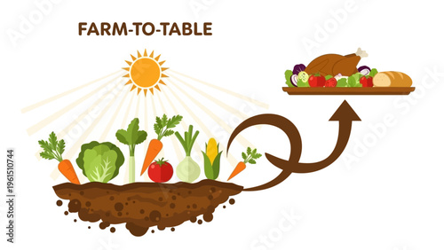 Farm to Table Fresh Produce and Meal.