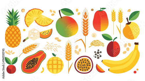 Assorted Tropical Fruits and Grain Illustrations.