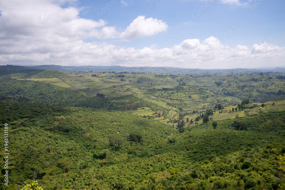 Naklejka premium Mount Elgon forest meets farmland, panoramic view with cloudy blue sky background, Kenya/Uganda.
