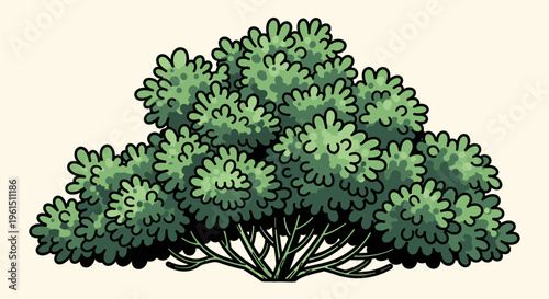 Green leafy bush with dense foliage.