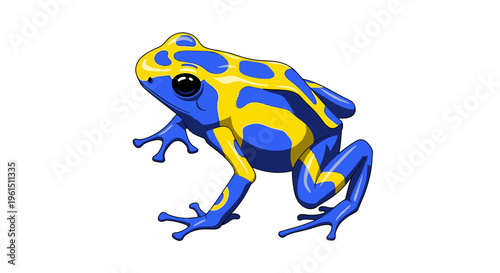 Poison dart frog in profile view.