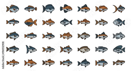 Variety of Fish Species Illustrations.