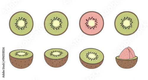 Hand drawn kiwi fruit slices and halves with green and pink flesh illustration, fresh tropical healthy food, perfect for menus and packaging