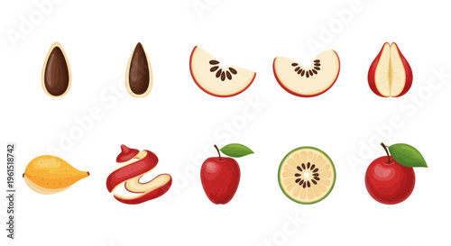 Various stages of apple and kiwi fruit with seeds and peels isolated on white background, healthy fresh fruit illustrations for design