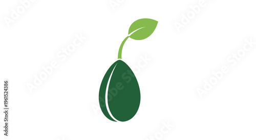 Green Avocado Fruit With Leaf.