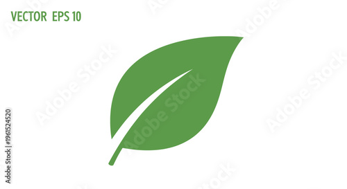 Green leaf illustration on white background.