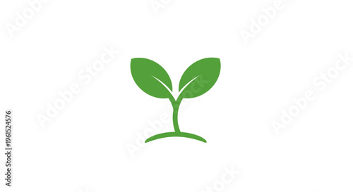 Green plant sprout with leaves growing.