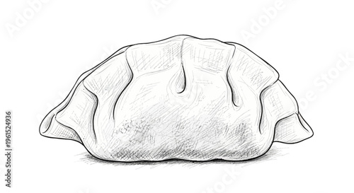 Hand-drawn dumpling illustration