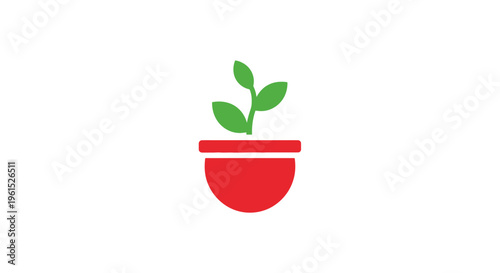 Small green plant in red pot.