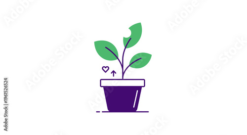 Small plant in purple pot growing.