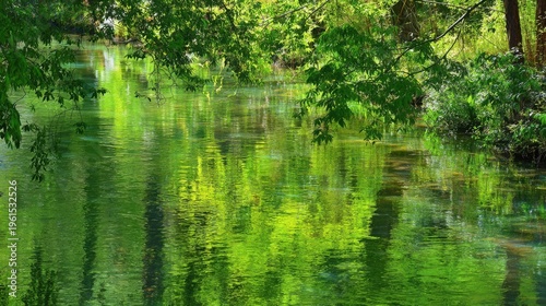 Green leafy branches overhang a slow-moving river, its rippling water surface reflecting the lush forest foliage