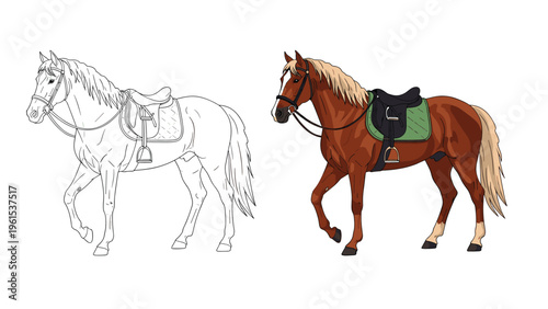 Illustration showing a saddled horse in two styles including a detailed line drawing and a finished brown colored version.
