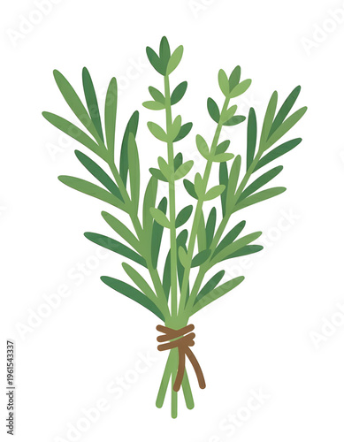 Minimalist Herb Bundle Icon with Green Rosemary Sprigs on White Background