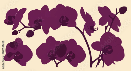 Collection of dark purple phalaenopsis orchid flower silhouettes with stems and buds on a neutral cream background, suitable for botanical illustrations and graphic design elements.