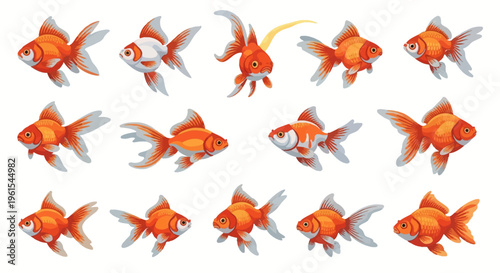 Collection of fourteen goldfish vector illustrations isolated on a white background, featuring various fancy breeds with orange, red, and white scales, flowing fins, and realistic poses.