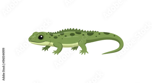 Vector illustration of a green lizard reptile featuring dark dorsal spots and a spiky ridge along its back. Small creature isolated on a white background with a long curved tail.