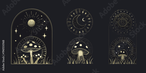 Golden celestial and botanical shapes moons suns and mushrooms