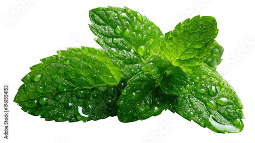 Mint Leaves' Freshness: A close-up shot of vibrant green mint leaves, glistening with water droplets, showcasing their natural freshness and aromatic appeal.