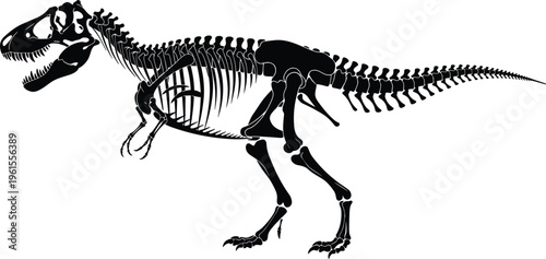 Detailed black illustration of Tyrannosaurus rex skeleton showing skull, teeth, ribs, limbs, and tail, representing dinosaur anatomy, paleontology artwork, prehistoric predator 