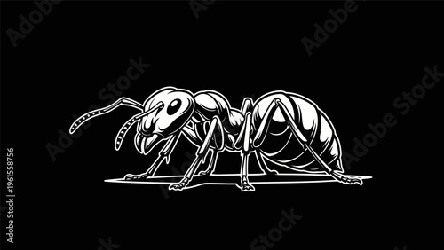 Black and white ant illustration on dark backdrop