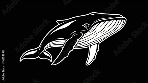 Black and white whale illustration