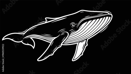 Black and white whale illustration
