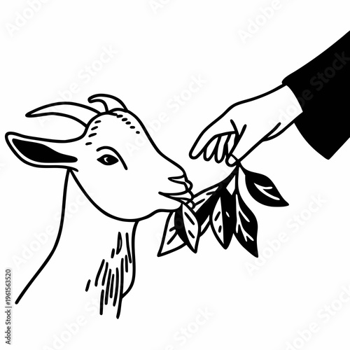 Hand feeding a goat a leaf, an illustration of a domesticated animal being cared for
