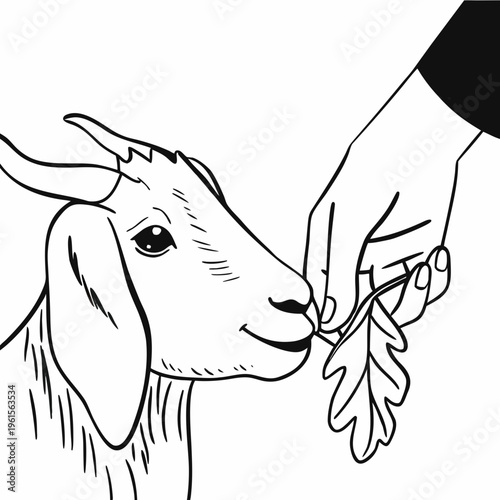 Hand feeding a goat a leaf, an illustration of a domesticated animal being cared for
