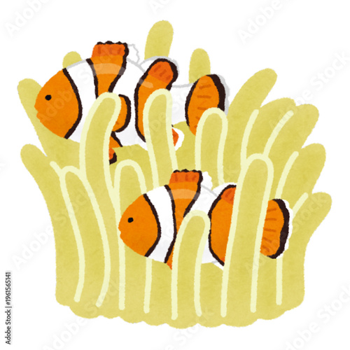Illustration of a clownfish hiding among sea anemone tentacles in a vibrant underwater scene
