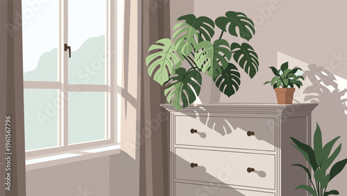 Peaceful sunlit room featuring a white wooden dresser decorated with large monstera houseplants next to a bright open window.