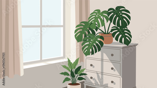 Lush green monstera and other potted plants placed near a sunlit window on a white cabinet in a bright and airy living room.