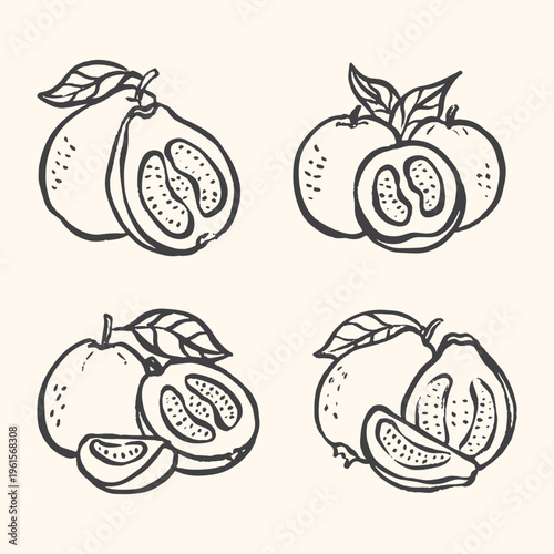 illustration set of guava fruits 