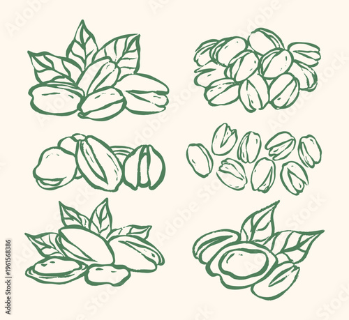 illustration set of vector pistachio