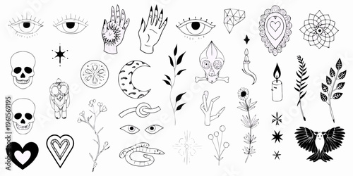Collection of whimsical hand drawn occult and botanical illustrations in black