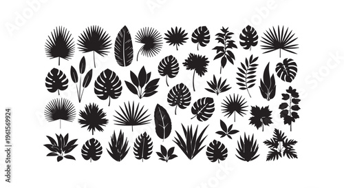 A collection of various tropical black leaf silhouettes on a white background