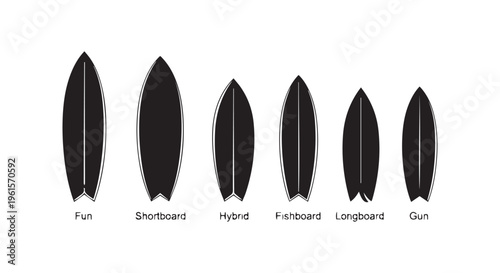Different types of surfboards are displayed in a horizontal line