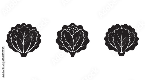 Black and white cabbage leaf silhouettes on white background  vegetable icons