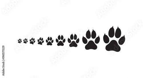 A series of black paw prints of different sizes on a white background