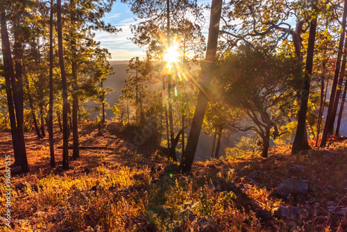 Foto Meadow in a forest during the golden hour next to a canyon in Mexiquillo, Durang