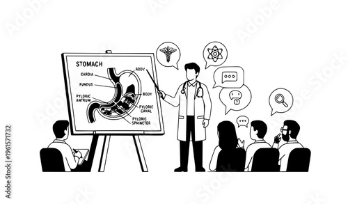 A conceptual flat vector illustration of a physician presenting a stomach anatomy chart on a board while explaining to an audience, isolated on a solid white background. The composition highlights med