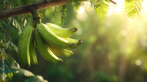 Fresh Green Bananas on Tree Branch in Tropical Garden, Organic Raw Banana Bunch in Natural Sunlight