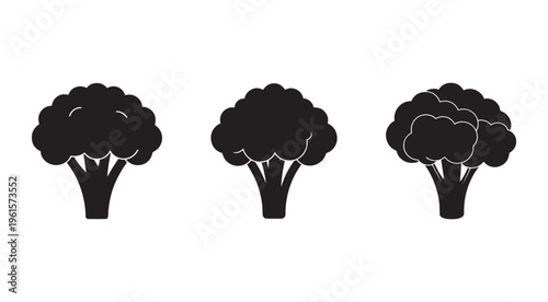 Broccoli vegetable icons set  healthy food symbols  green and white silhouettes