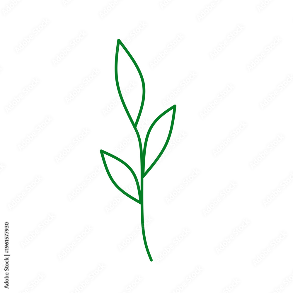 Obraz premium Leaves doodle